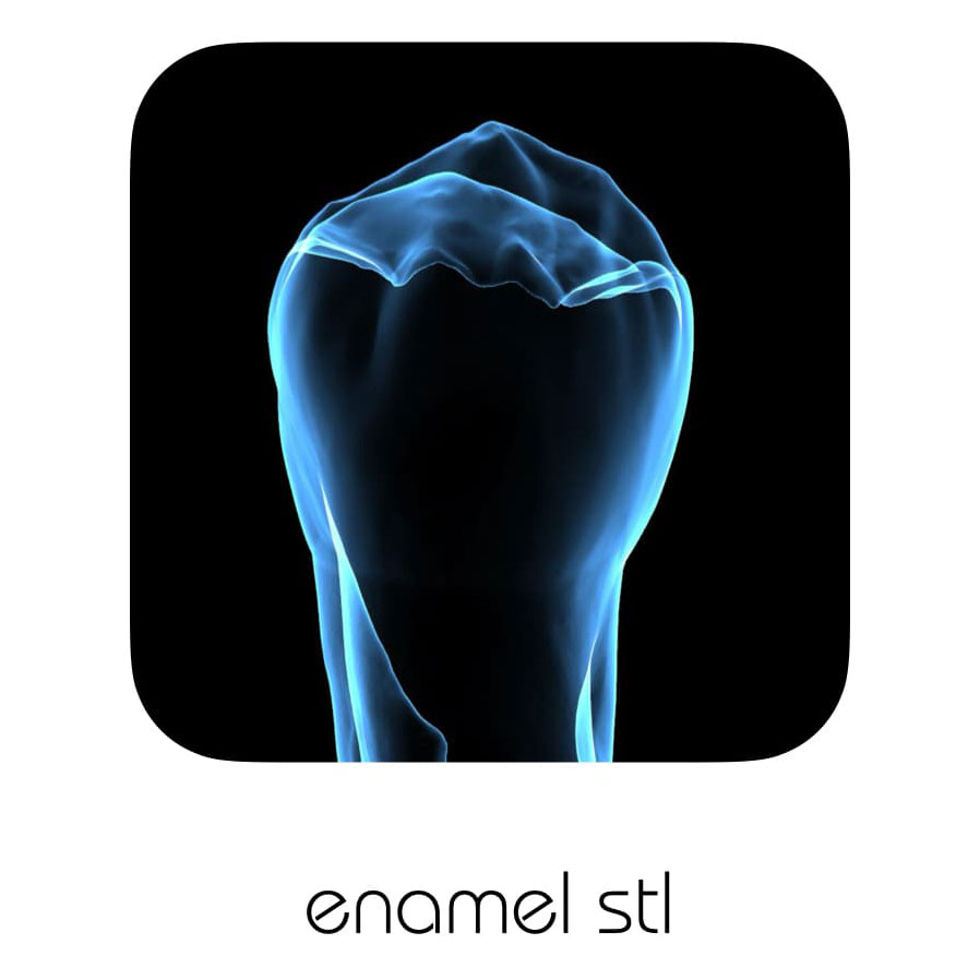 enamel stl