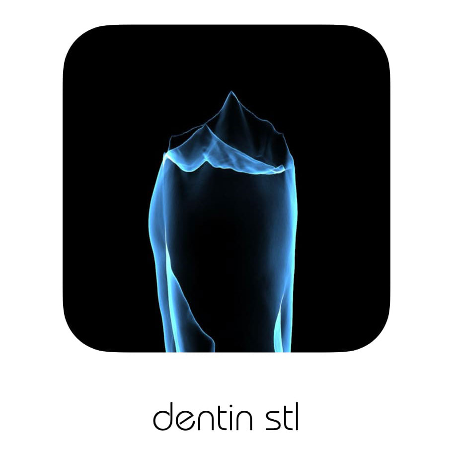 dentin stl